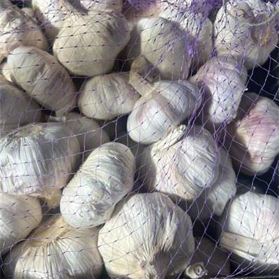 Usturoi cu un singur cap