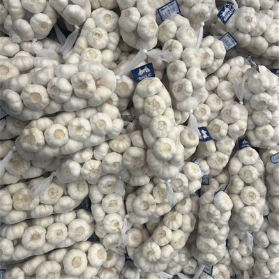 Cu o rădăcină de orez de usturoi